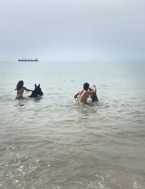 paseos a caballo por la playa club hípico vera