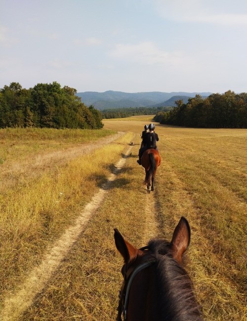 paseos a caballo por la playa club hípico vera