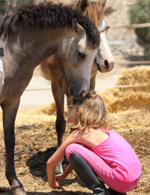 paseos a caballo por la playa club hípico vera