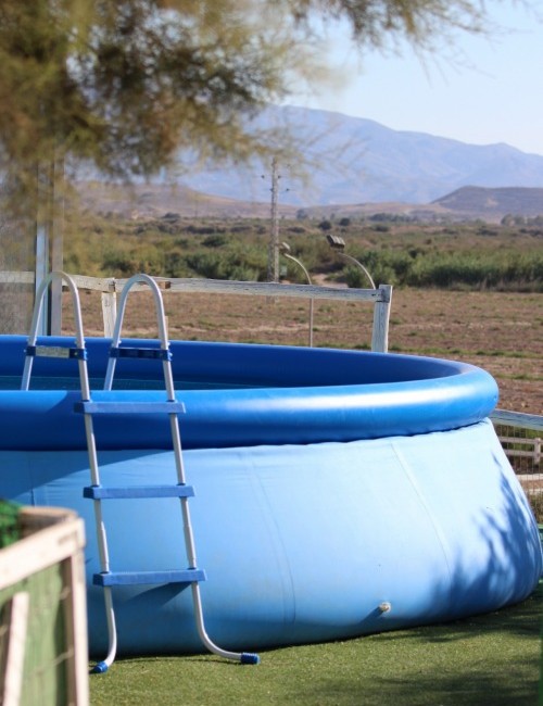 paseos a caballo por la playa club hípico vera